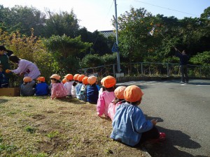 青いお空とオレンジ色の・・・