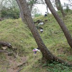 DSC01077