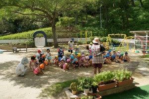 夏休み登園日～水遊び～