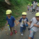 DSC07184 (1)