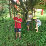 DSC07200