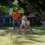 DSC08337