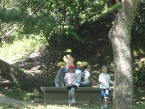 DSC07036
