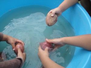 DSC07061